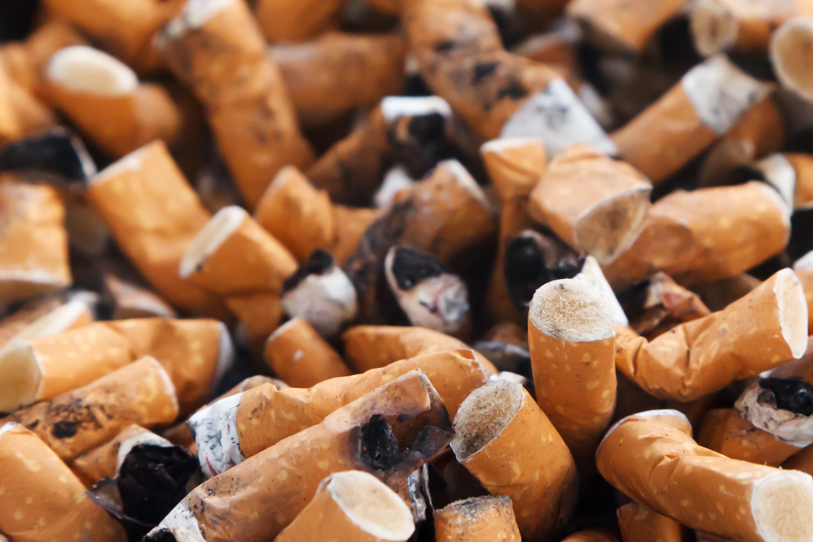 cigarette butts